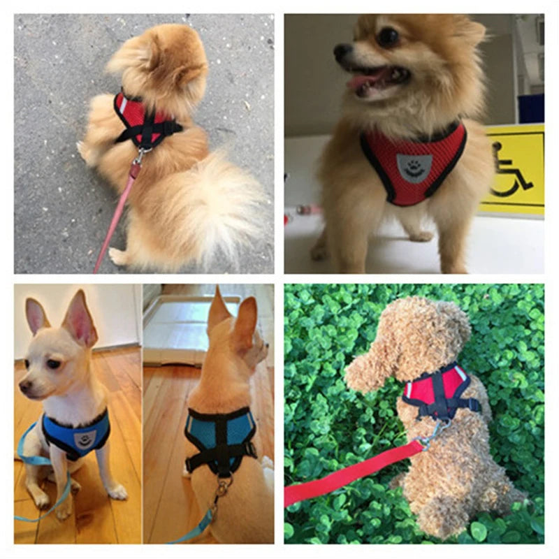 QUICK FIT Dog Harness