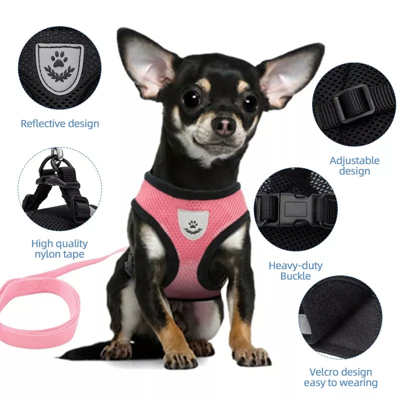 QUICK FIT Dog Harness