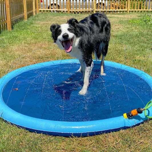 Pet Sprinkler Pad