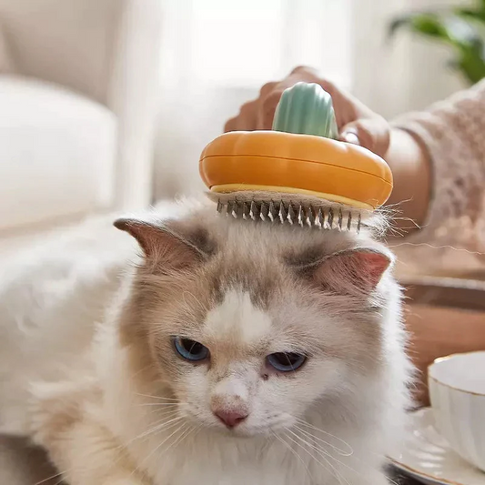 Pumpkin Grooming Brush