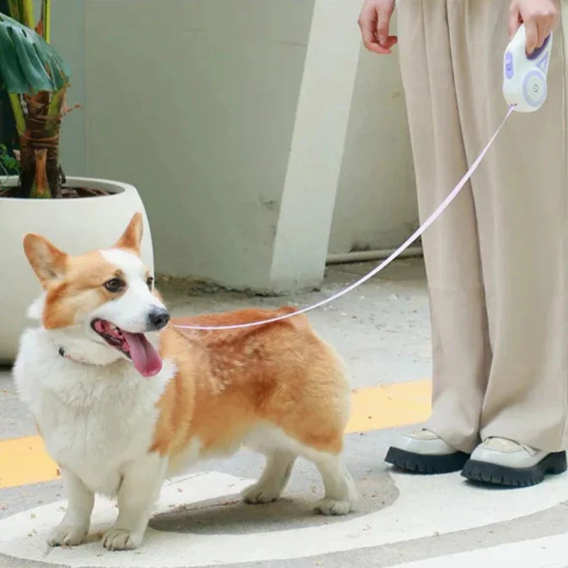 Retractable Dog Leash